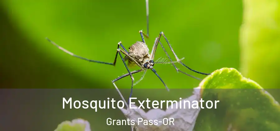  Mosquito Exterminator Grants Pass-OR
