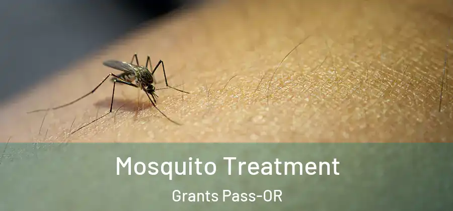  Mosquito Treatment Grants Pass-OR