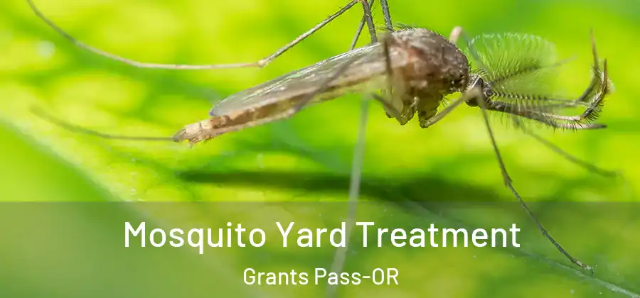  Mosquito Yard Treatment Grants Pass-OR