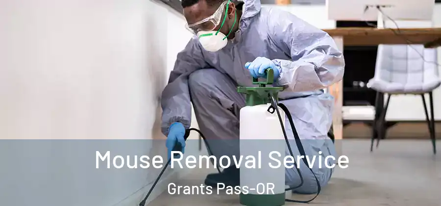 Mouse Removal Service Grants Pass-OR