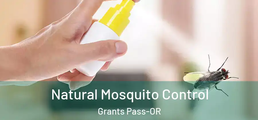  Natural Mosquito Control Grants Pass-OR