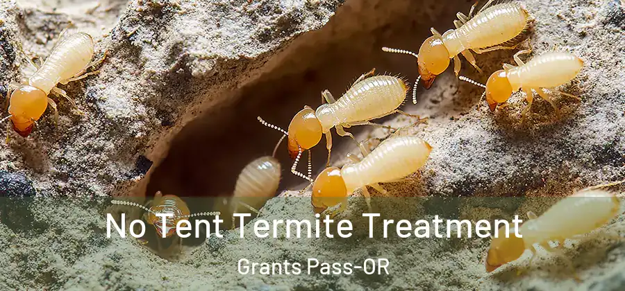  No Tent Termite Treatment Grants Pass-OR