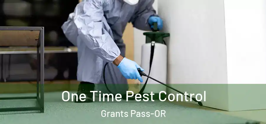  One Time Pest Control Grants Pass-OR