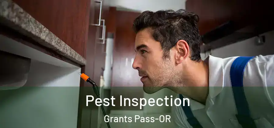  Pest Inspection Grants Pass-OR