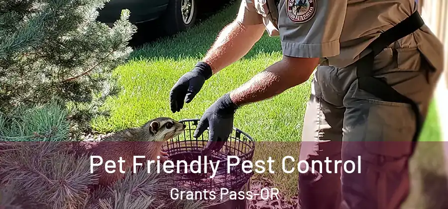  Pet Friendly Pest Control Grants Pass-OR