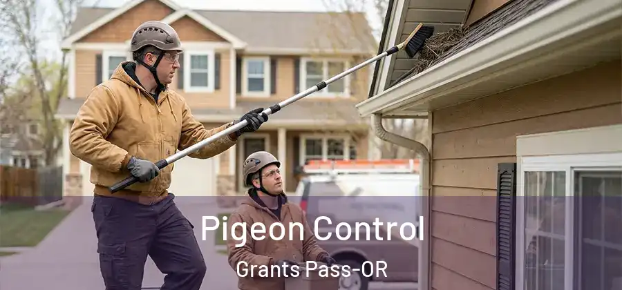 Pigeon Control Grants Pass-OR