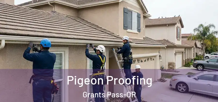  Pigeon Proofing Grants Pass-OR