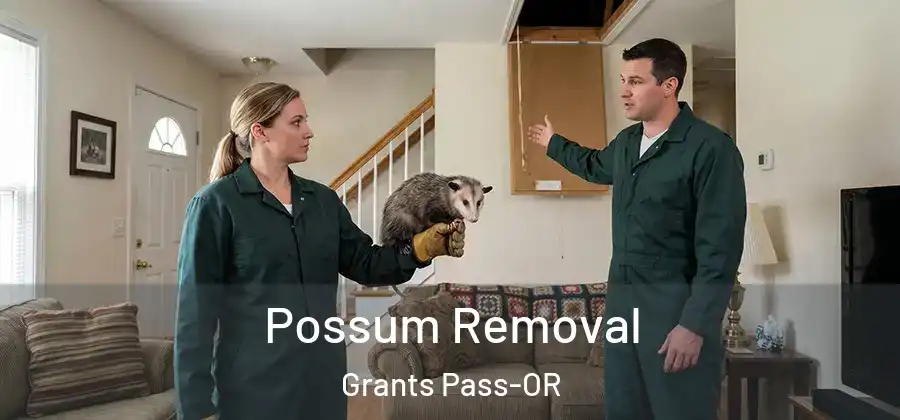  Possum Removal Grants Pass-OR