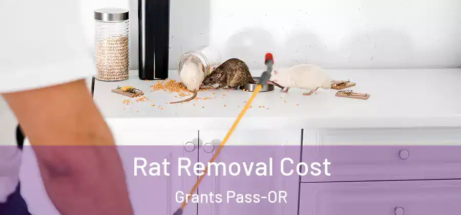  Rat Removal Cost Grants Pass-OR