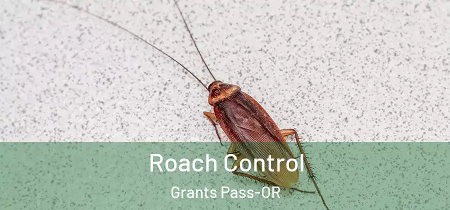  Roach Control Grants Pass-OR