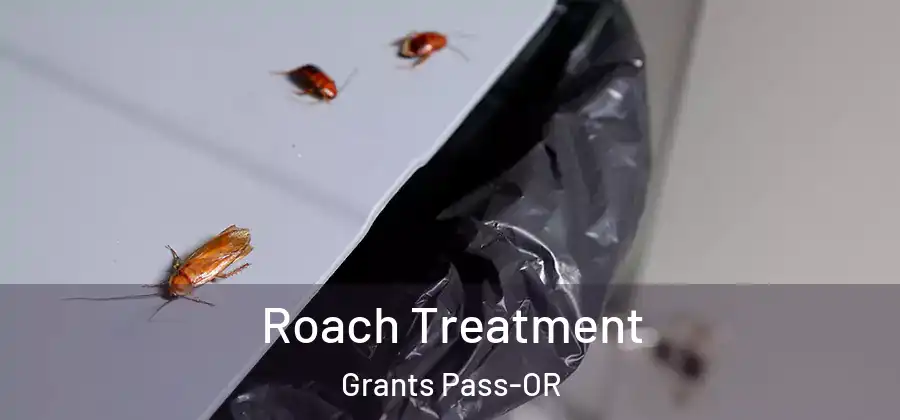  Roach Treatment Grants Pass-OR