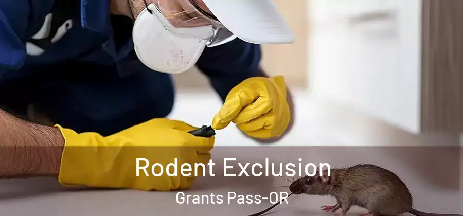  Rodent Exclusion Grants Pass-OR