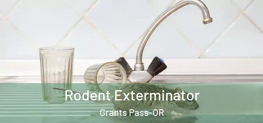 Rodent Exterminator Grants Pass-OR