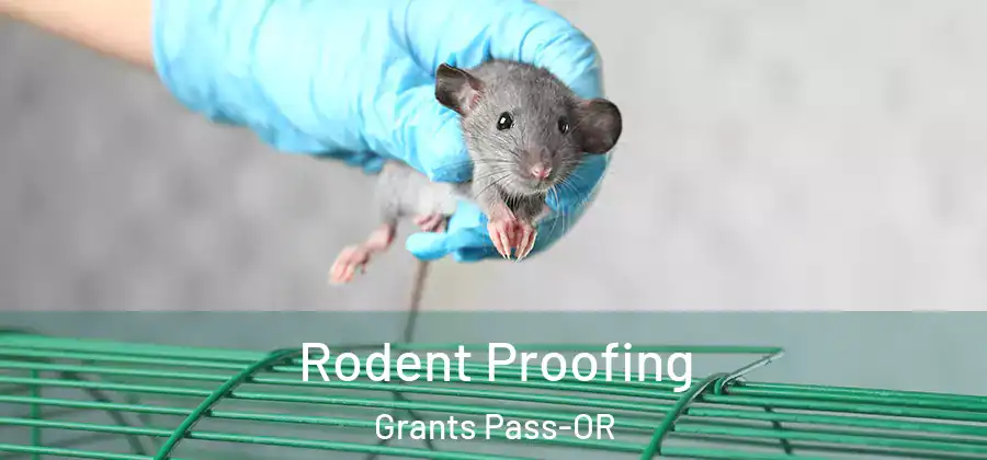  Rodent Proofing Grants Pass-OR