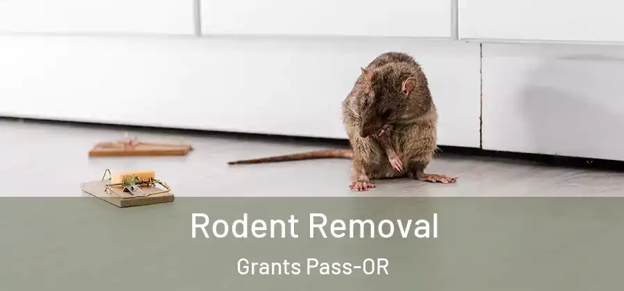  Rodent Removal Grants Pass-OR