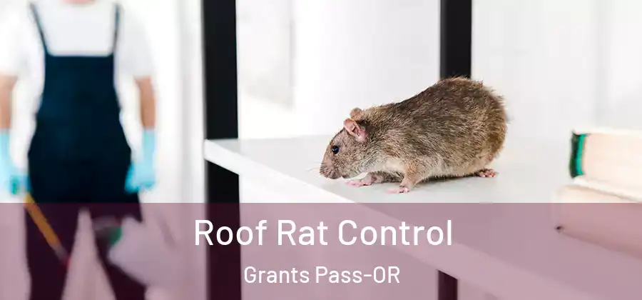  Roof Rat Control Grants Pass-OR