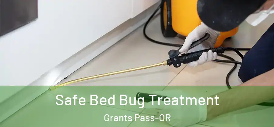  Safe Bed Bug Treatment Grants Pass-OR