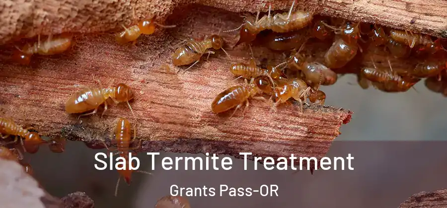  Slab Termite Treatment Grants Pass-OR