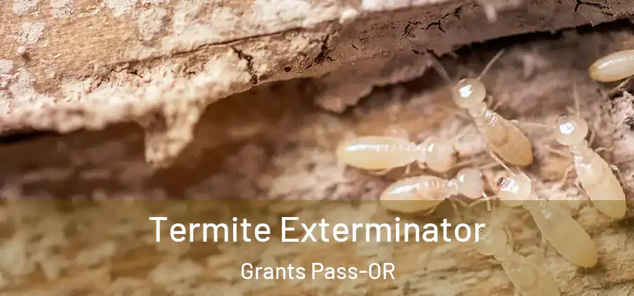  Termite Exterminator Grants Pass-OR