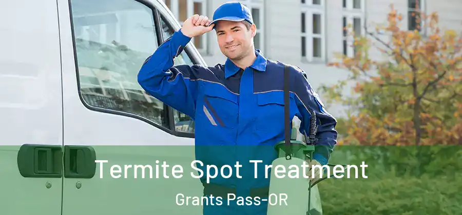  Termite Spot Treatment Grants Pass-OR