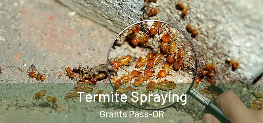  Termite Spraying Grants Pass-OR