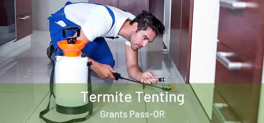  Termite Tenting Grants Pass-OR