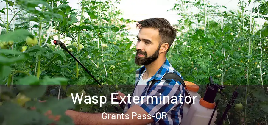  Wasp Exterminator Grants Pass-OR