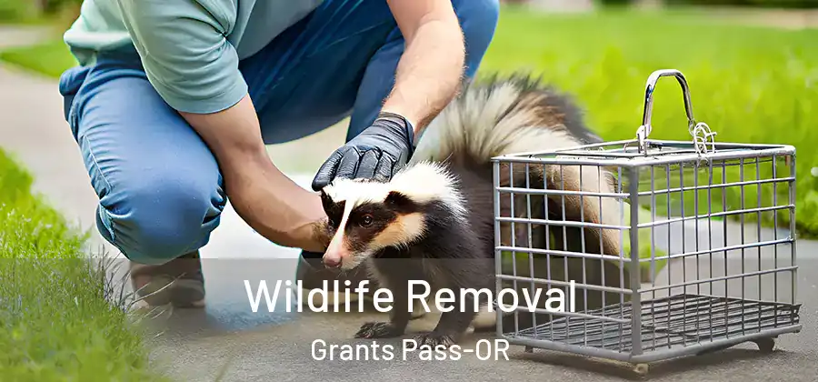 Wildlife Removal Grants Pass-OR