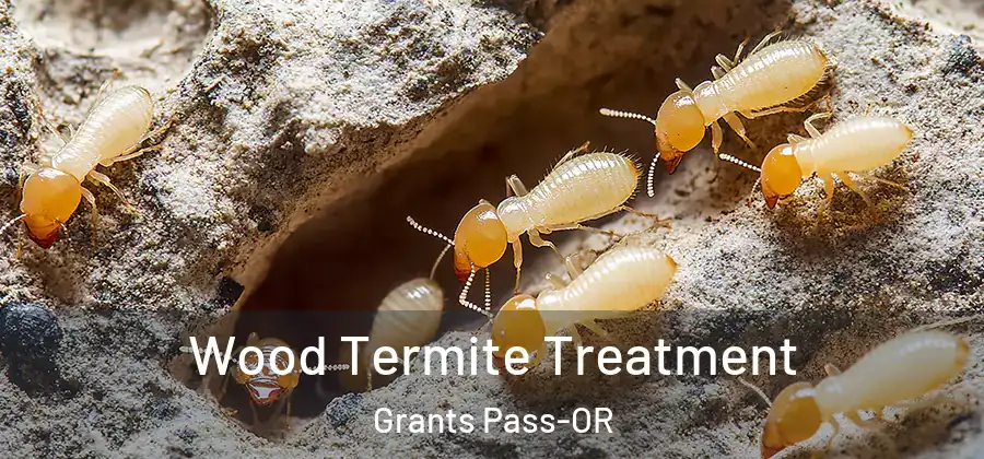  Wood Termite Treatment Grants Pass-OR