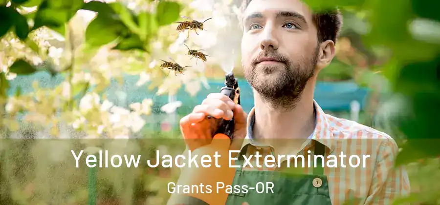  Yellow Jacket Exterminator Grants Pass-OR
